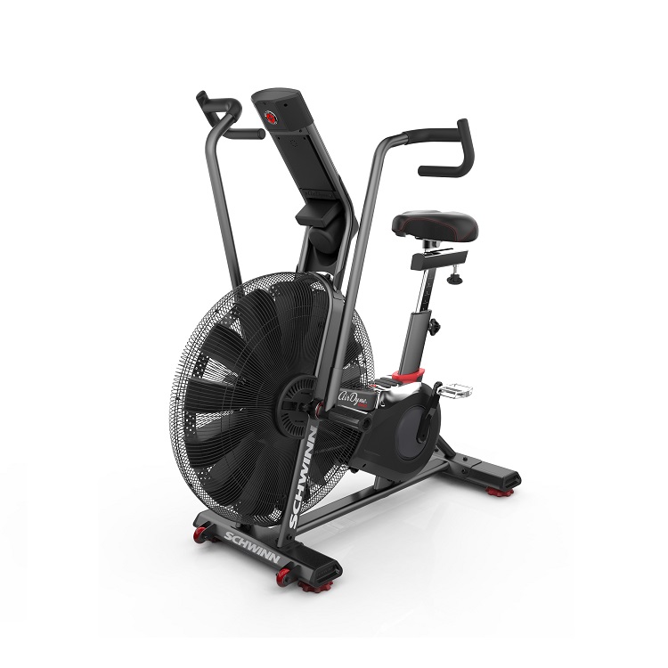 Air Bike Schwinn Airdyne AD8