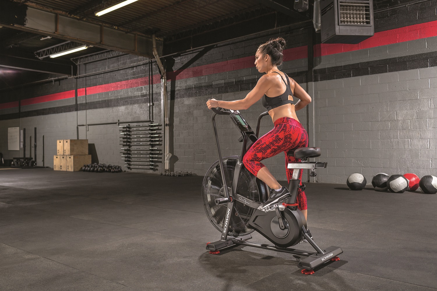 Air Bike Schwinn Airdyne AD8