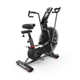 Air Bike Schwinn Airdyne AD8
