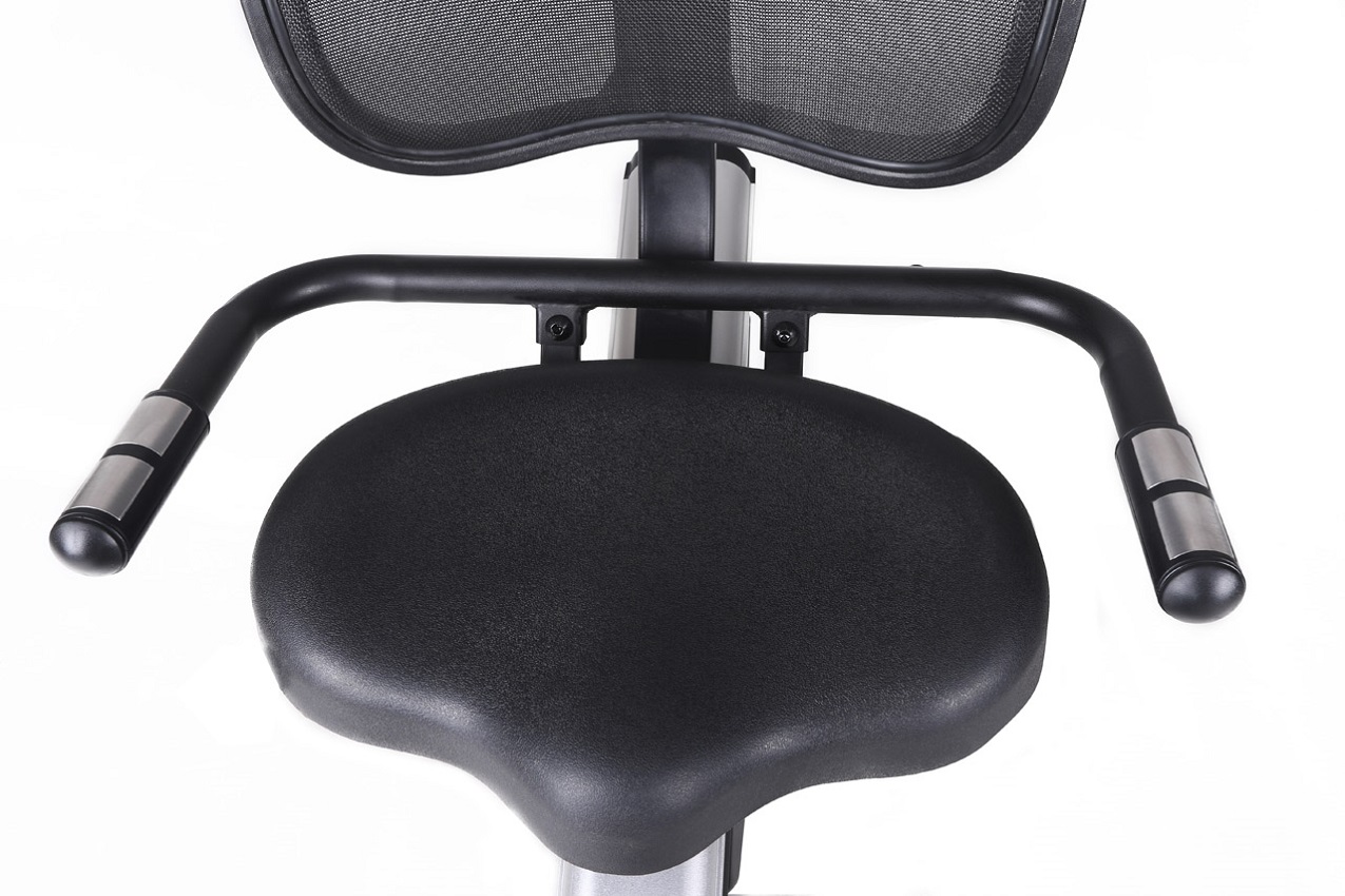 Sobni bicikl s naslonom Toorx BRX-R300 ERGO