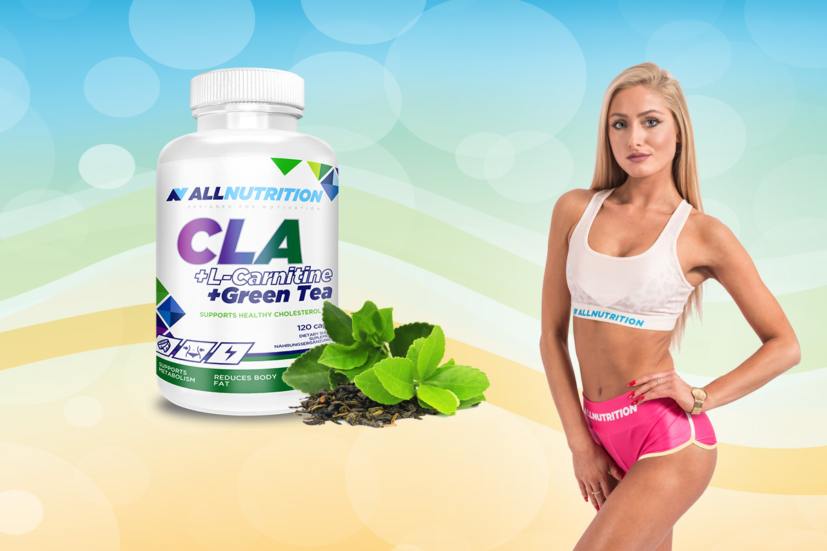 r alpha lipoic acid acetyl l carnitine Best Naturals Acetyl L-Carnitine Alpha Lipoic Acid -- 750 mg - 120 Capsules r alpha lipoic acid acetyl l carnitine Best Naturals Acetyl L-Carnitine Alpha Lipoic Acid -- 750 mg - 120 Capsules